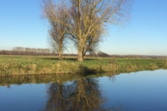 Reflection