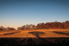 Autumn Shadows